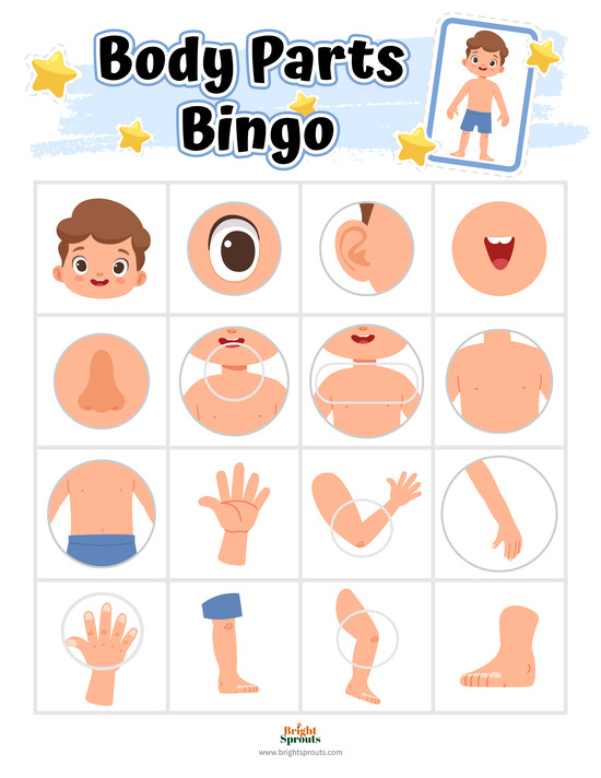 free printable body parts activities for toddlers