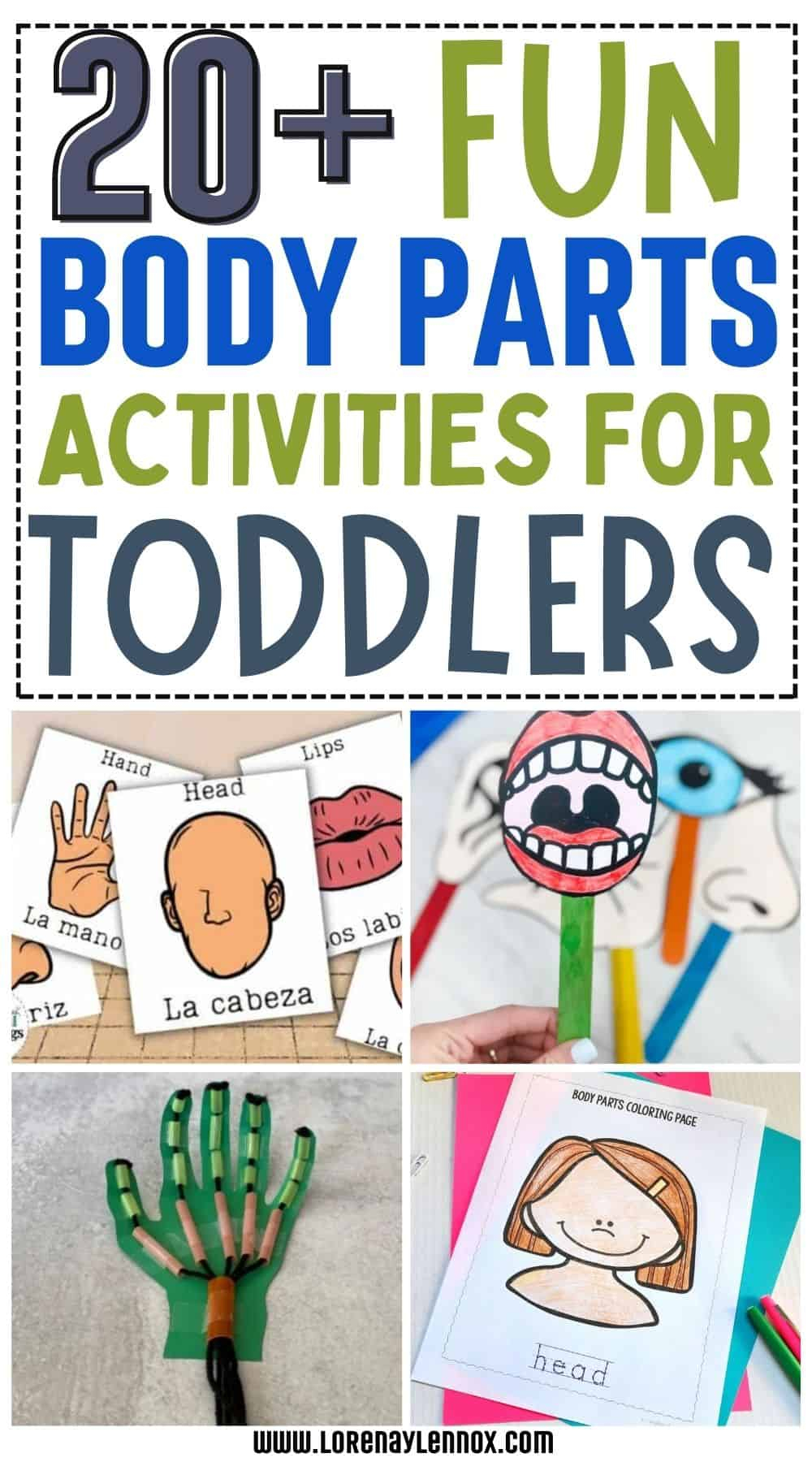 25 Body Parts Activities For Toddlers Preschoolers Bilingual 