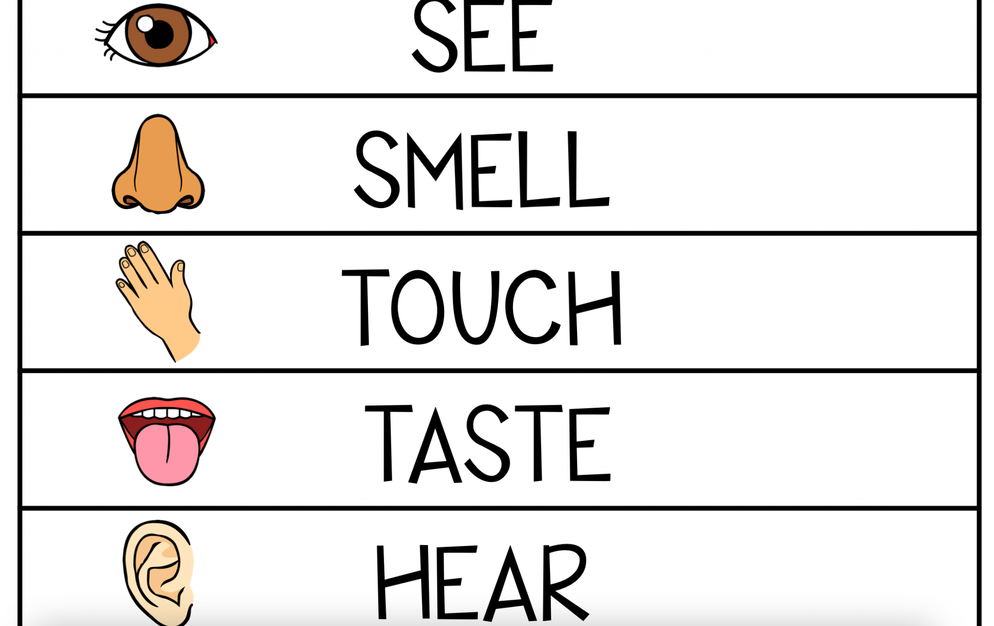 5 Senses Activities Active Littles