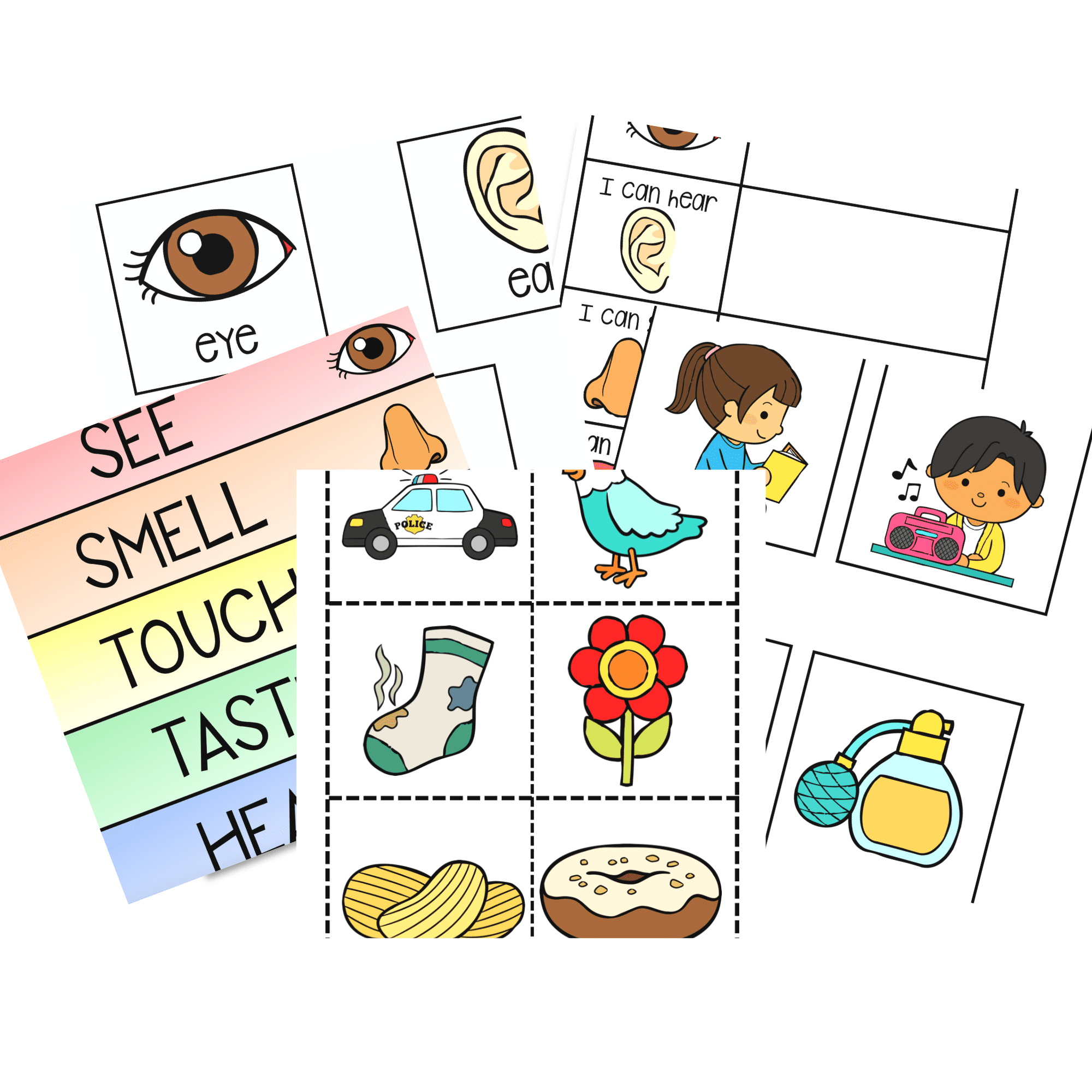 5 Senses Activities Active Littles