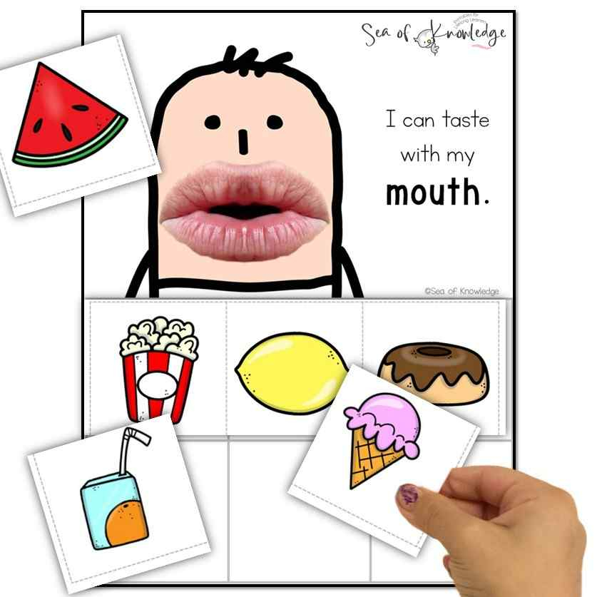 5 Senses Printable Activities And Online Games