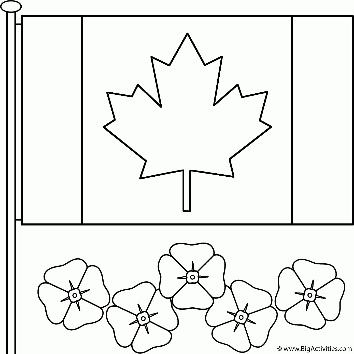 Canadian Flag With Poppies Coloring Page Remembrance Day 