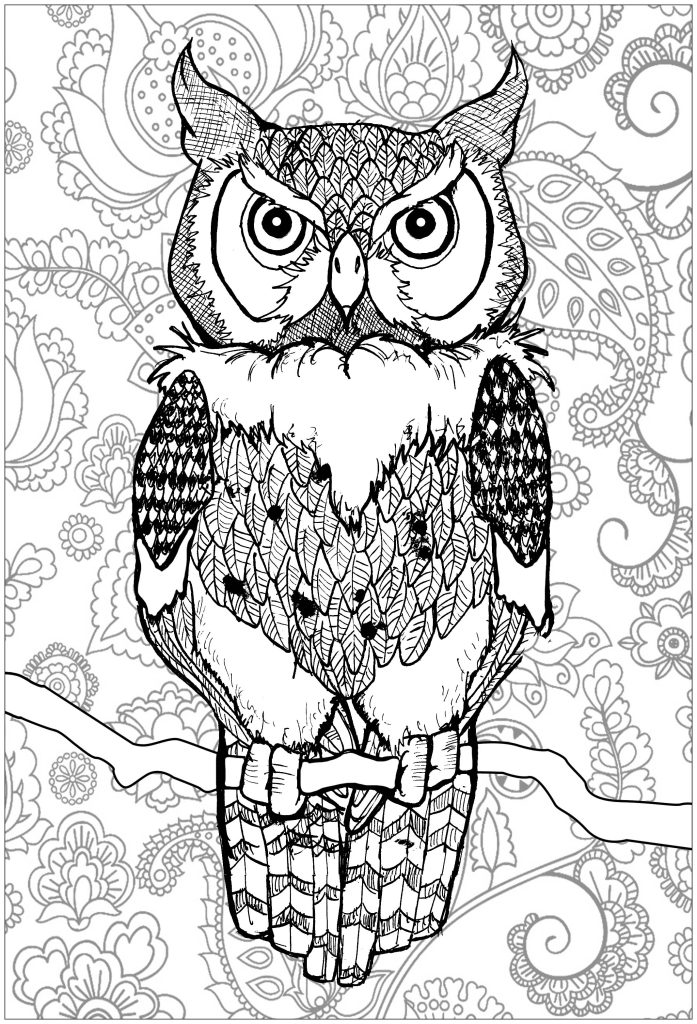 Collection Of Printable Owl Coloring Pages For Adults Free Printable