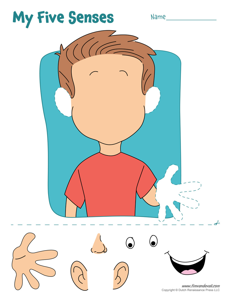 5 senses activities for toddlers printable