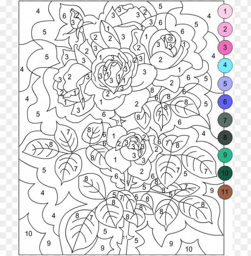 Free Download HD PNG Color By Number Coloring Pages For Adults PNG 