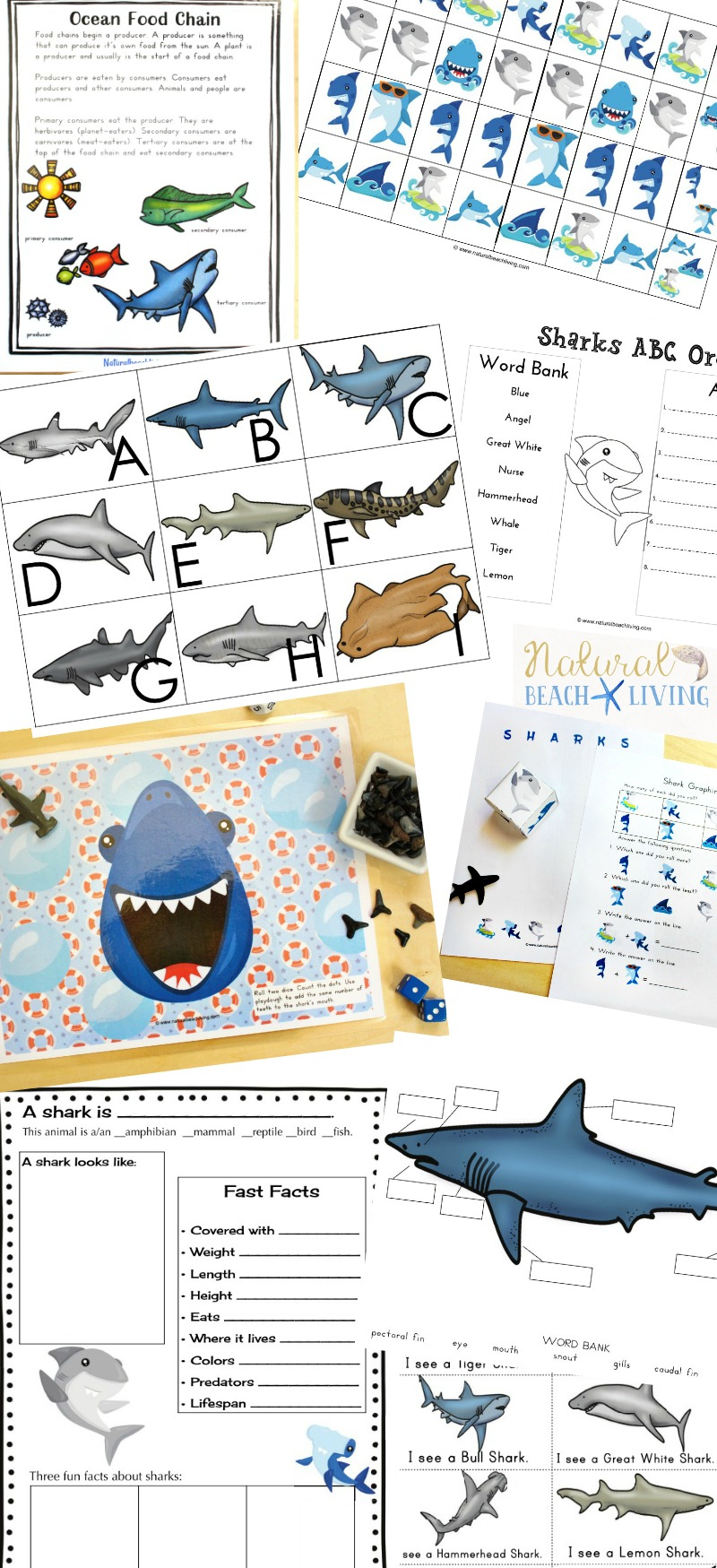 Free Printable Shark Activities