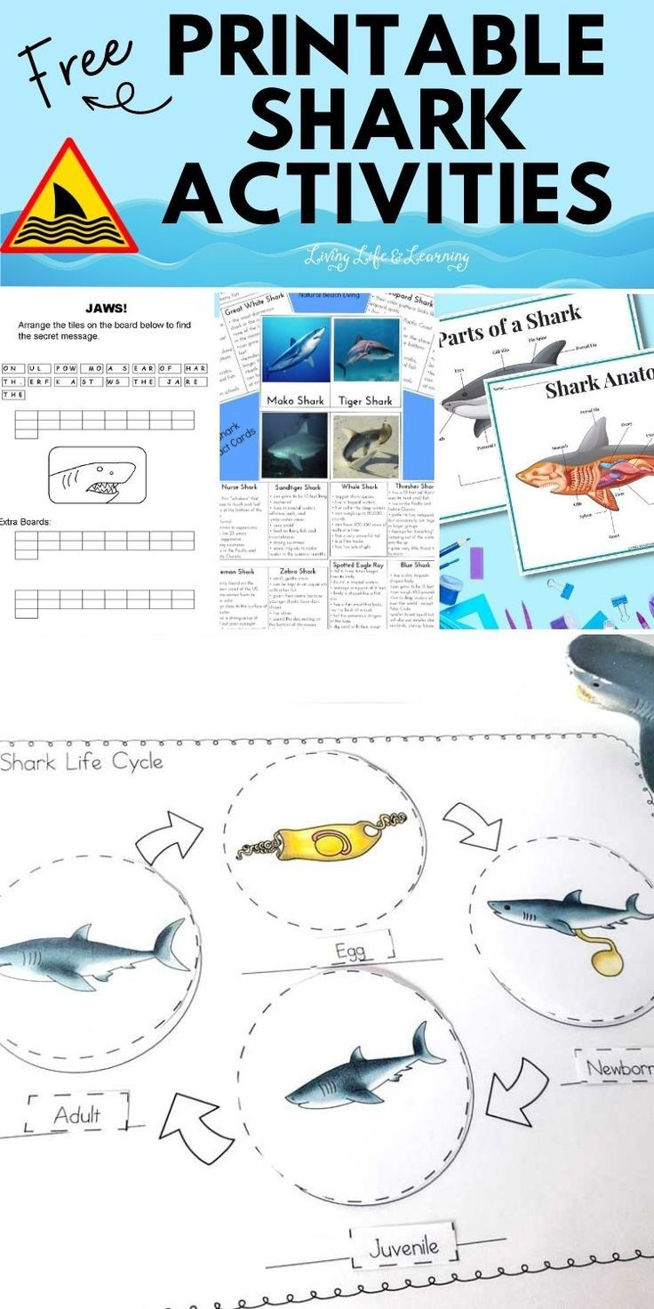 free printable shark activities for kids