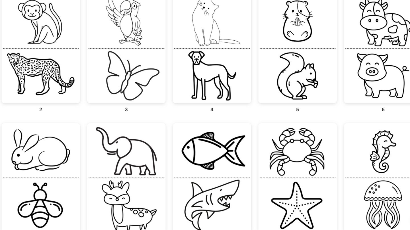 animal coloring kit