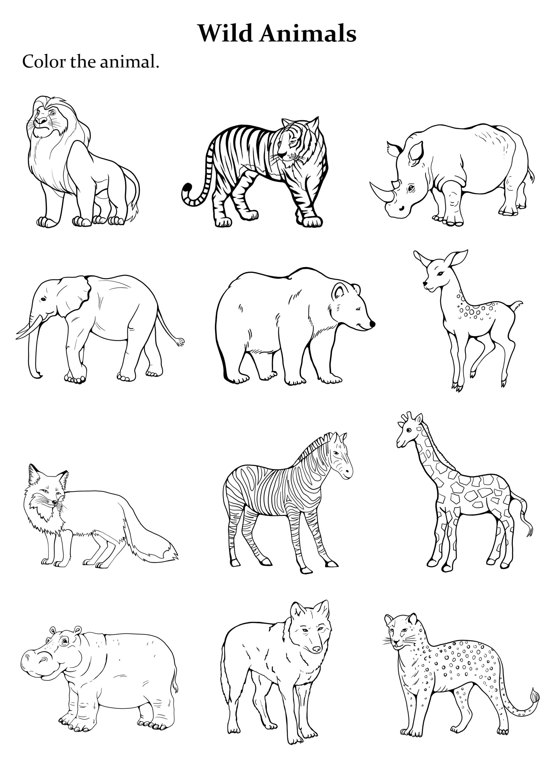 animal coloring for kids pdf