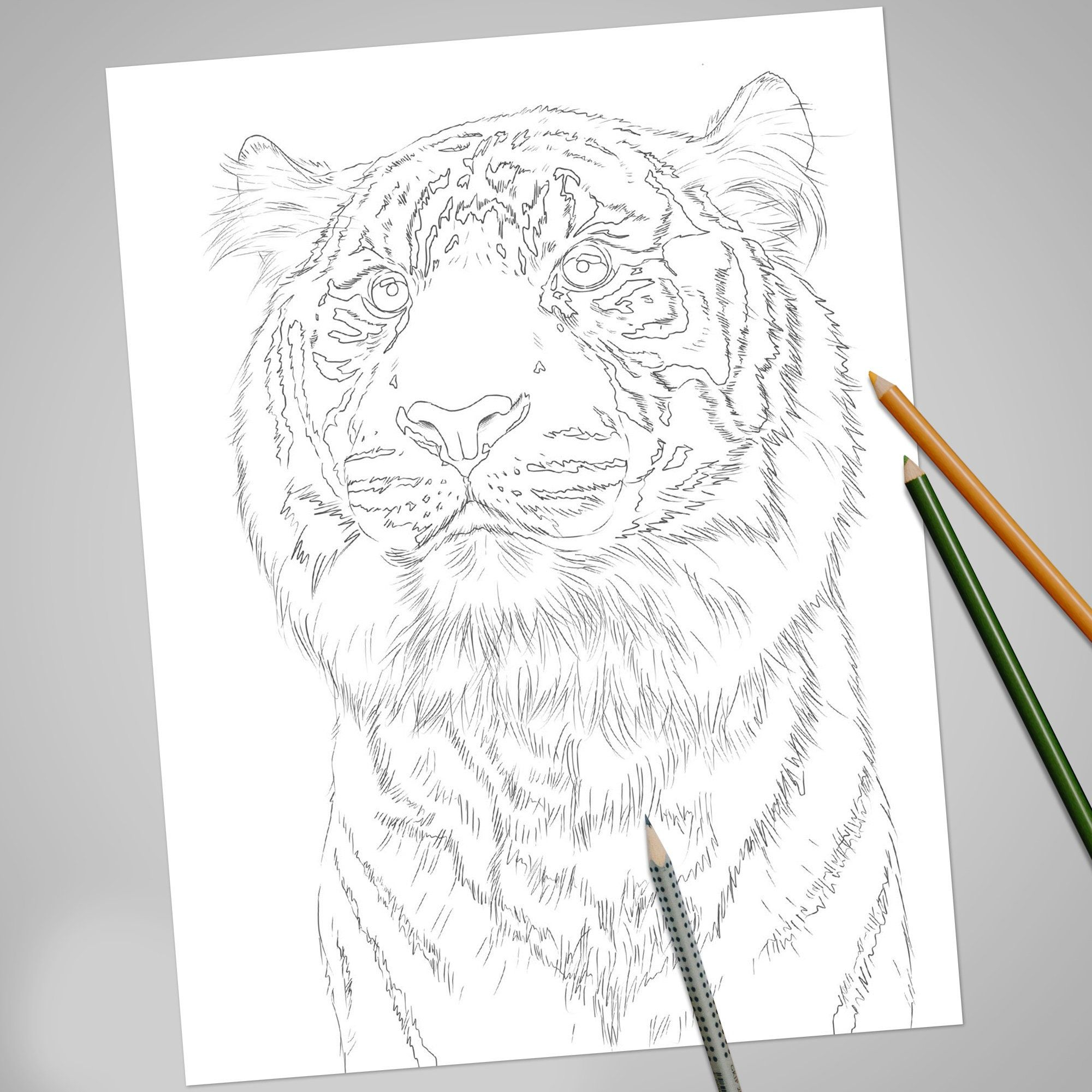 10 Realistic Animal Coloring Book Wildlife Coloring Pages Etsy 