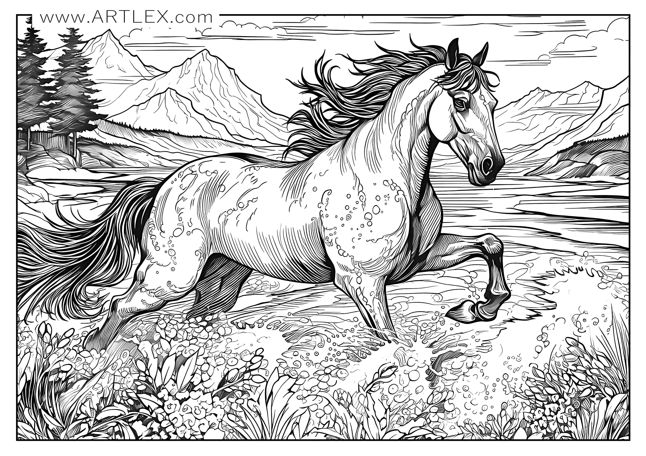 printable coloring pages horses