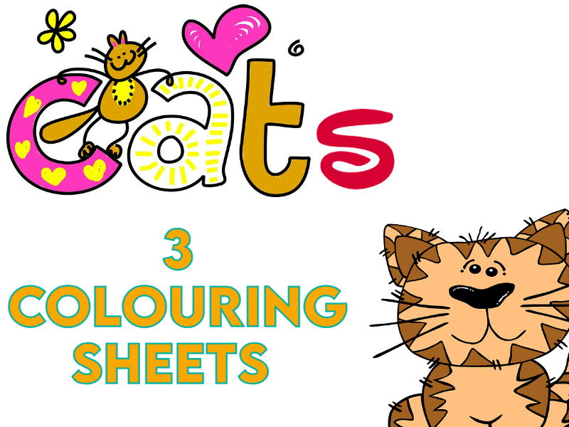 3 Cute Cats Colouring Sheets EYFS Teaching Resources