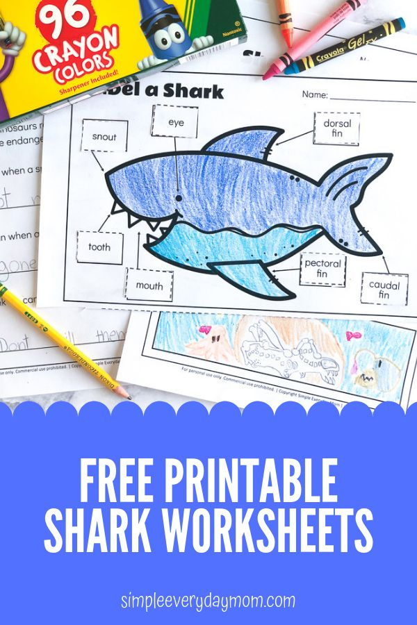 3 FREE Printable Shark Worksheets For Kids Shark Activities