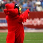 81 Best Animal Team Names Curated Ranked Generator Actually