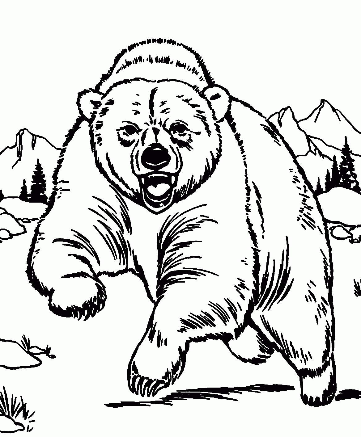 Aggressive And Angry Grizzly Bear Coloring Page Print Color Craft