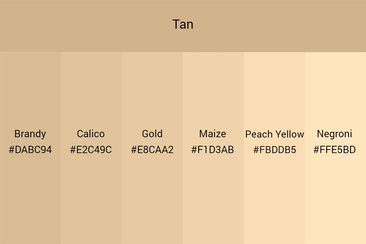 All You Need To Know About Tan Color An Ultimate Guide