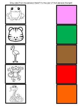 animal color matching