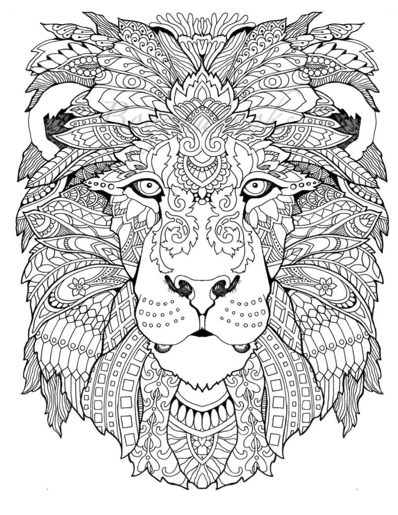 Animal Coloring Book Pdf BubaKids