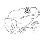 Animal Coloring Pages Easy