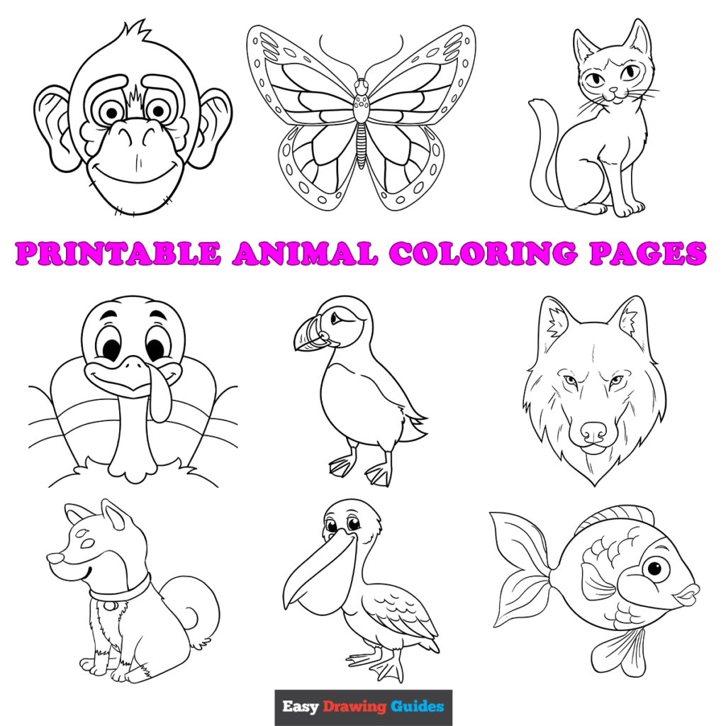 Animal Coloring Pages Easy
