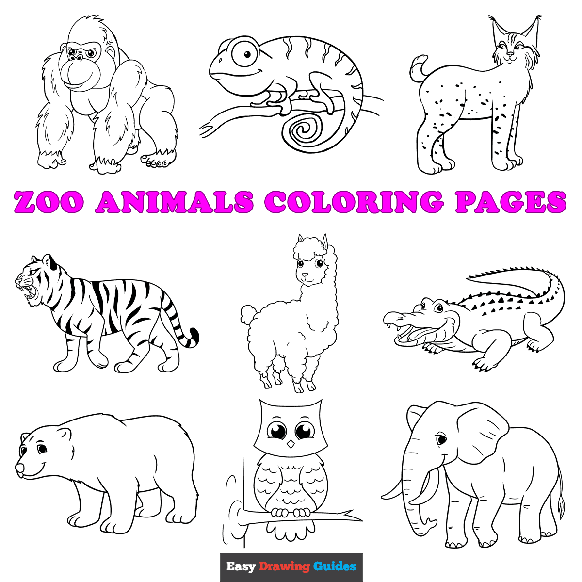 Animal Coloring Pages For Kids