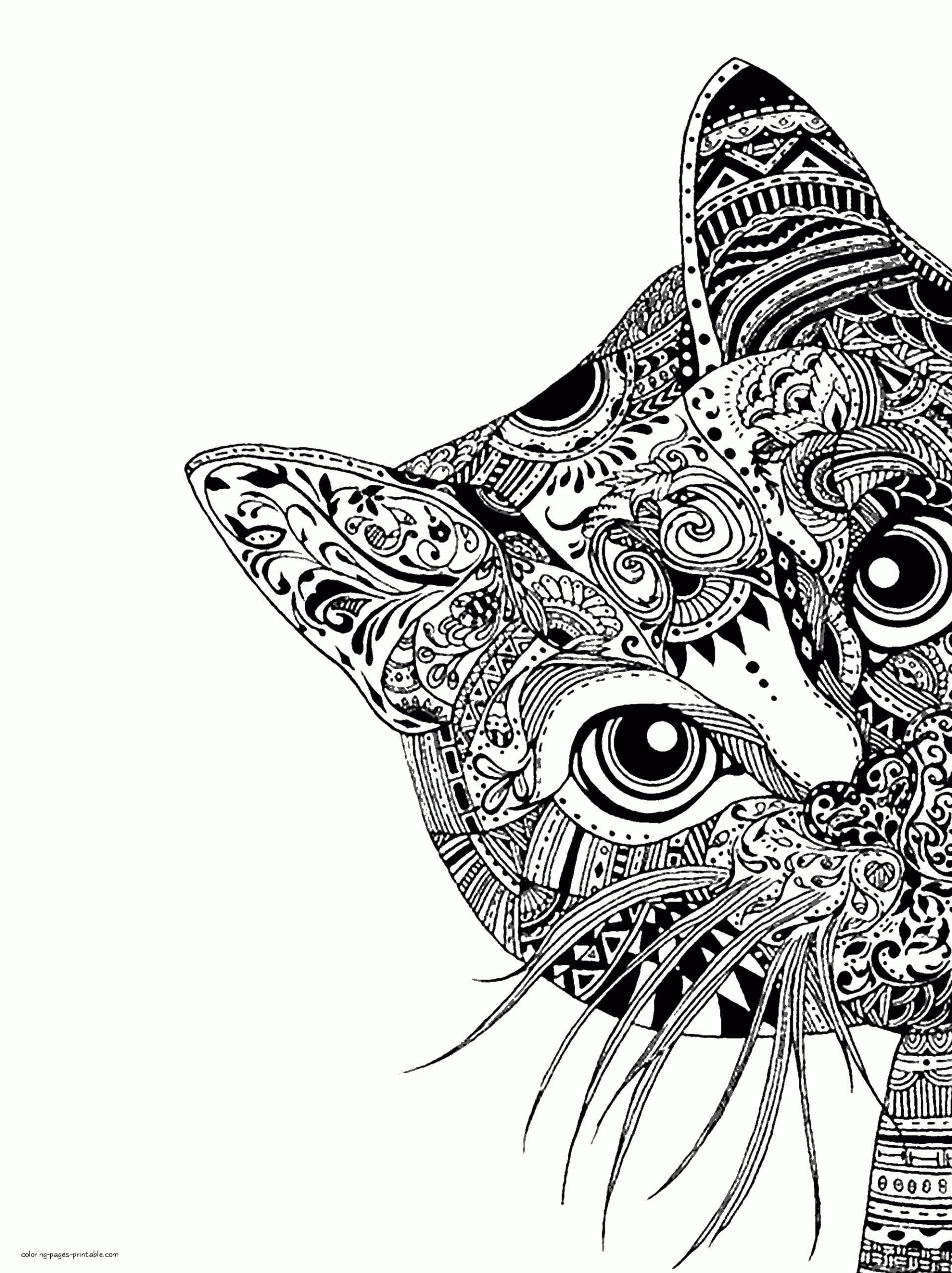 Animal Coloring Sheets Hard Fititnoora