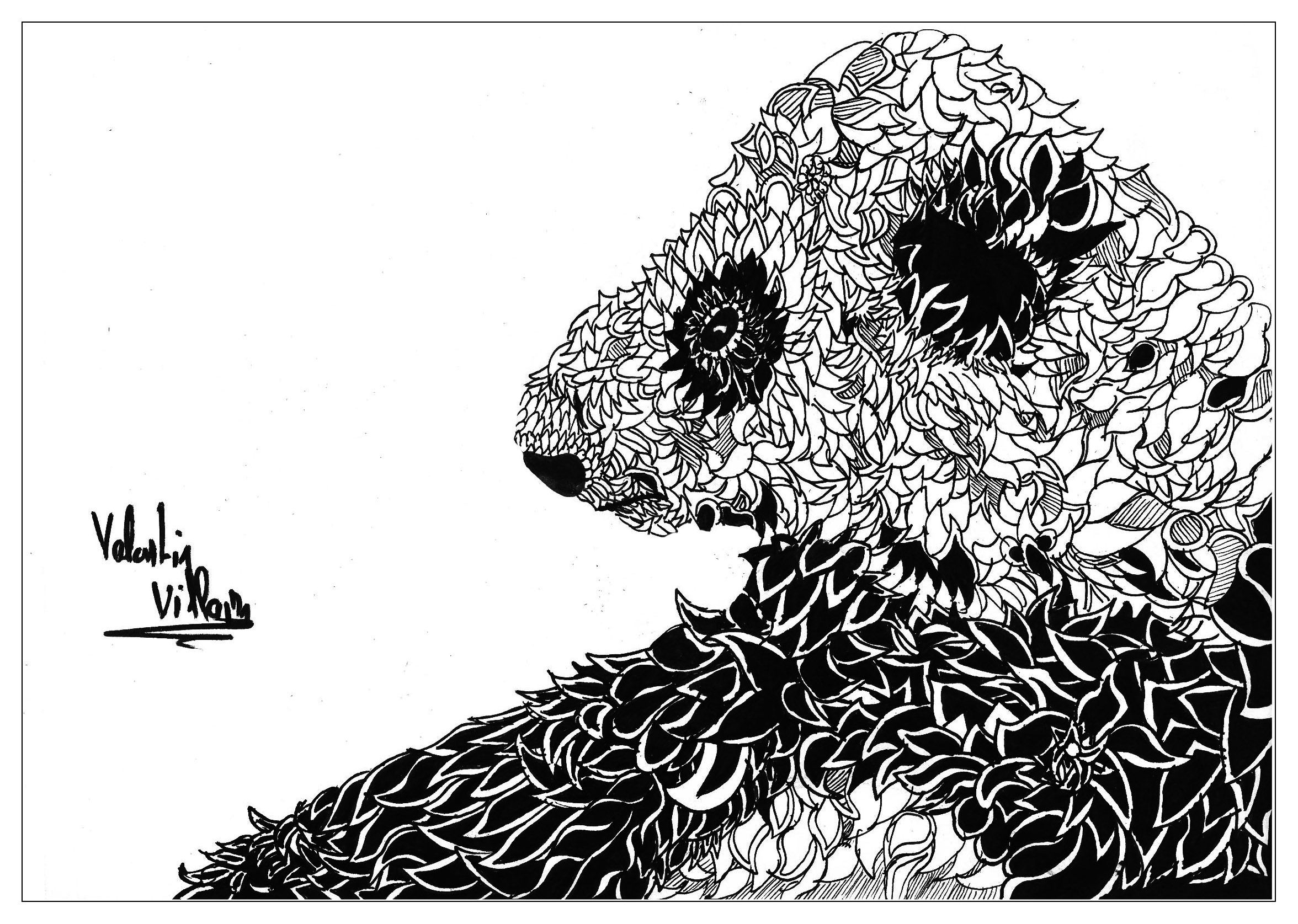 Animal Coloring Sheets Hard