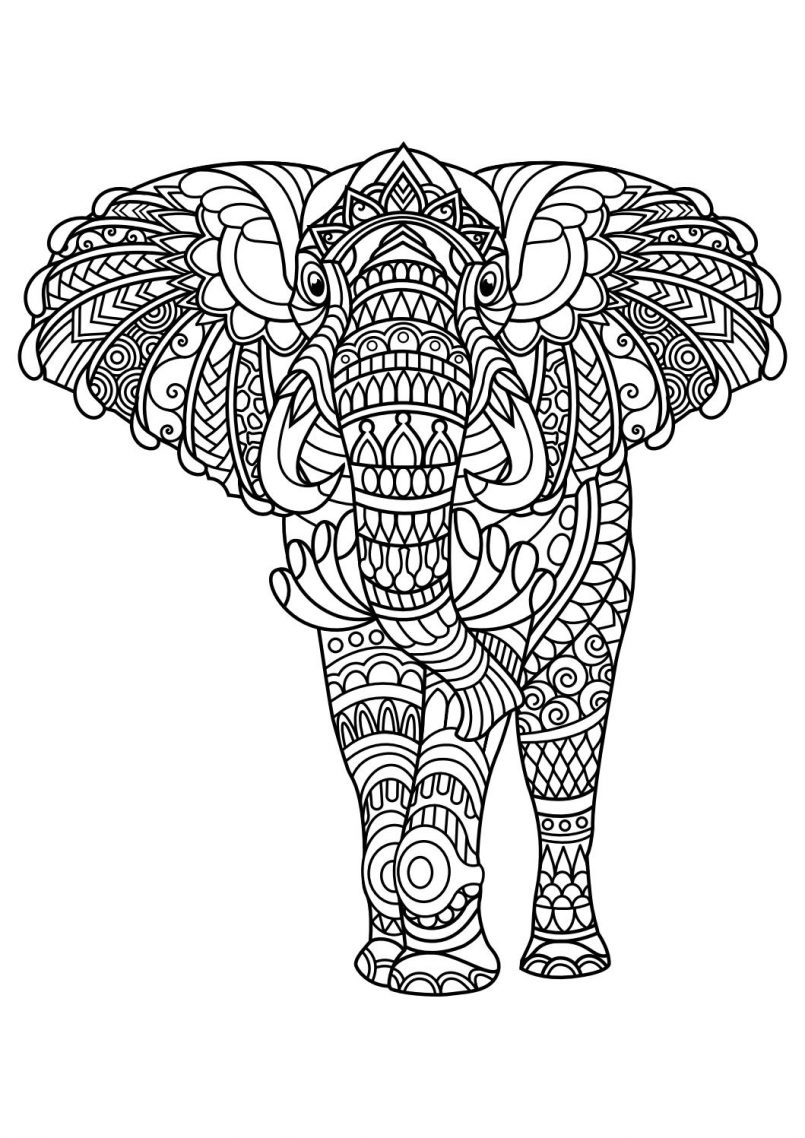 Animal Coloring Sheets Pdf