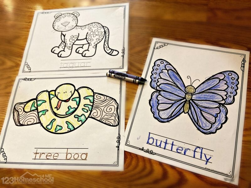 Animal Colouring For Kids Printable
