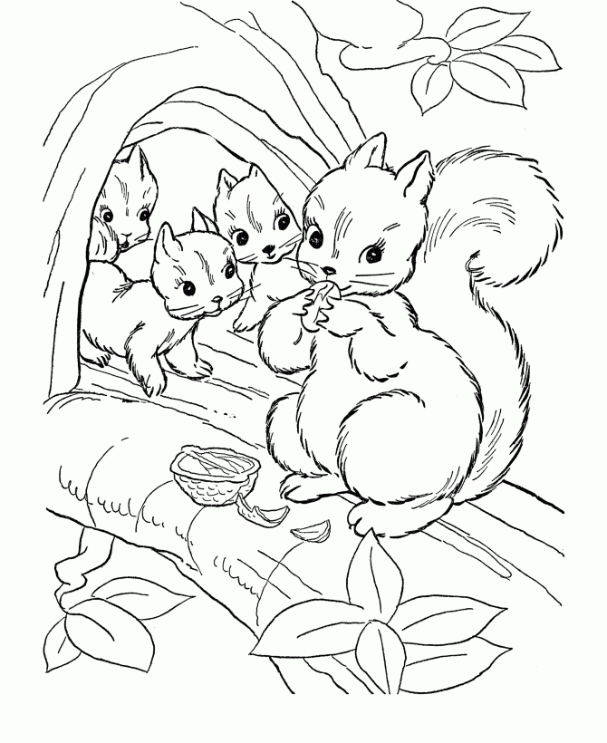Animal Family Coloring Page Printable Animal Family Coloring Sheets