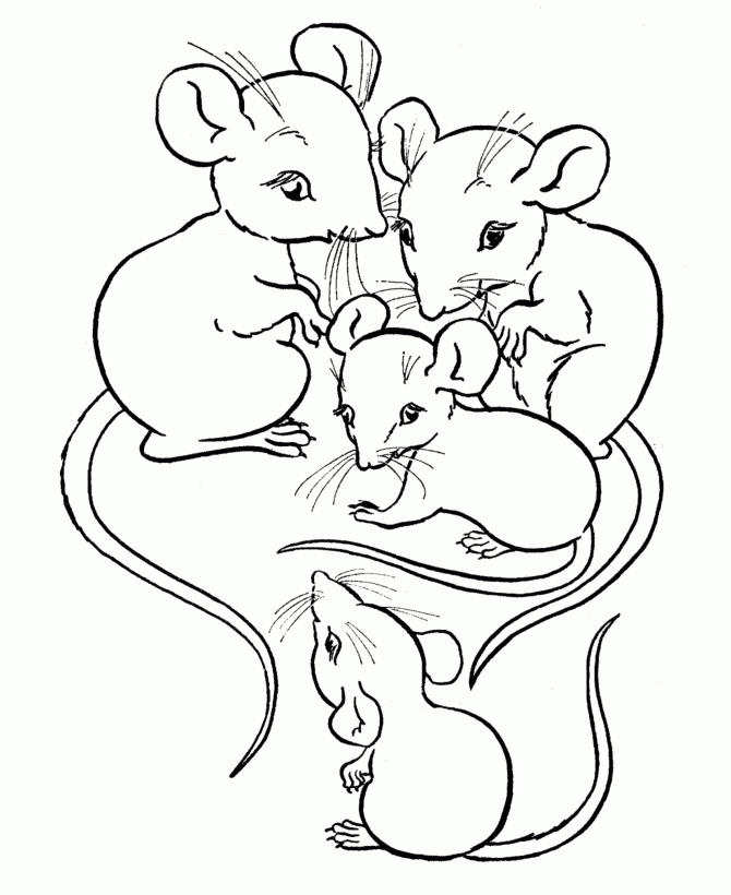 coloring animal family