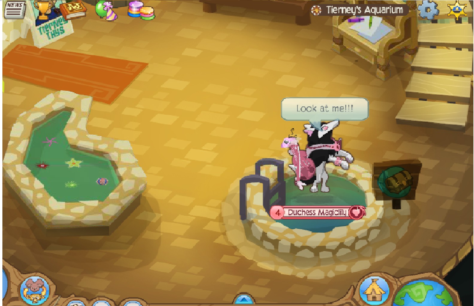 Animal Jam Glitches Animal Jam Tierney 39 s Aquarium Glitch