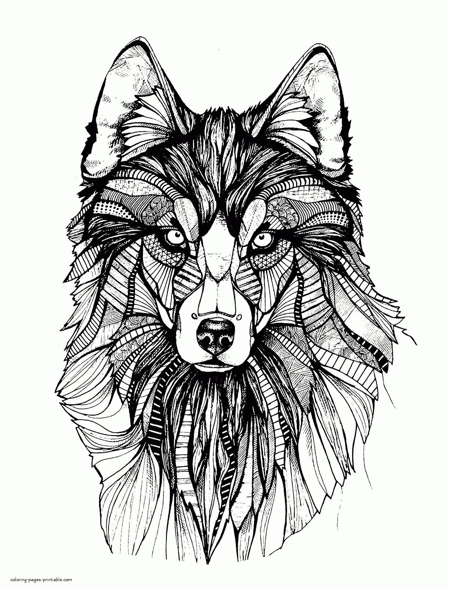 animal coloring in