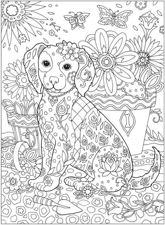 Animal Mindfulness Colouring Pages At Genjohnnyblog Blog