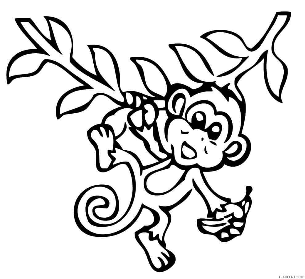 Animal Monkey And Banana Coloring Page Turkau