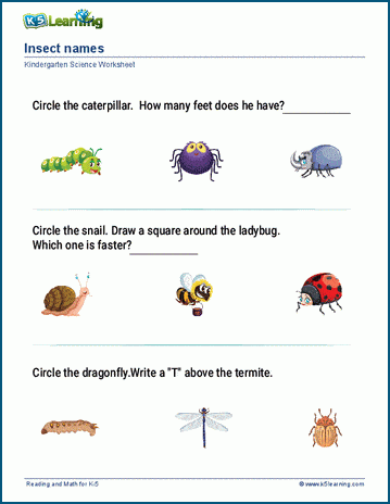 Animal Names Worksheets K5 Learning