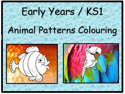 Animal Patterns Colouring Sheets EYFS KS1 Teaching Resources