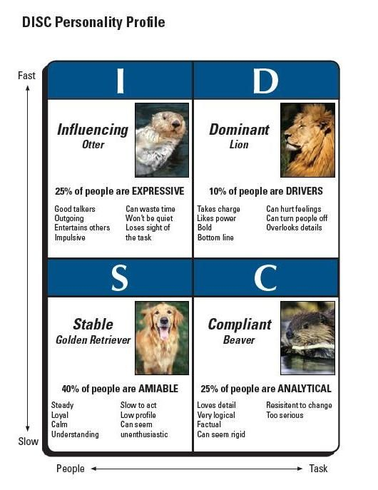 Animal Personality Test TPT Worksheets Library