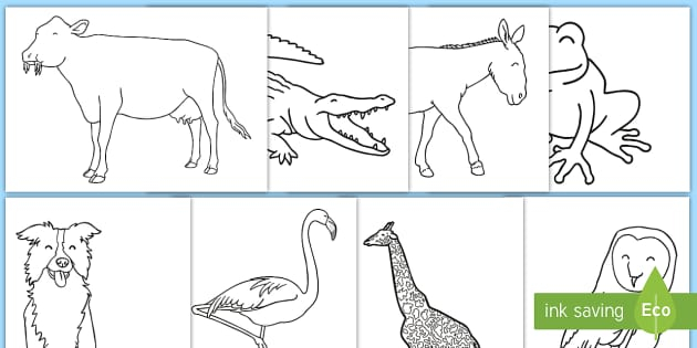 Animal Pictures To Colour In For Kids KS1 Colouring Sheets