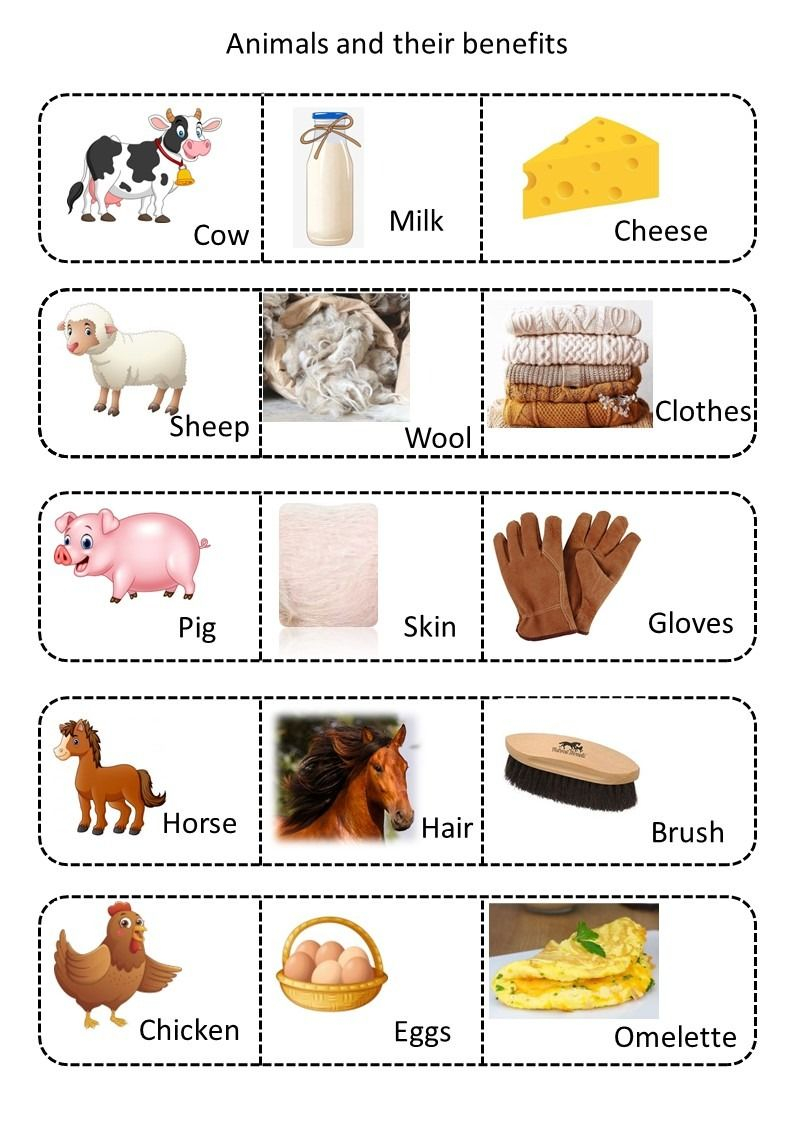 Animals With Benefits Worksheet For Kids