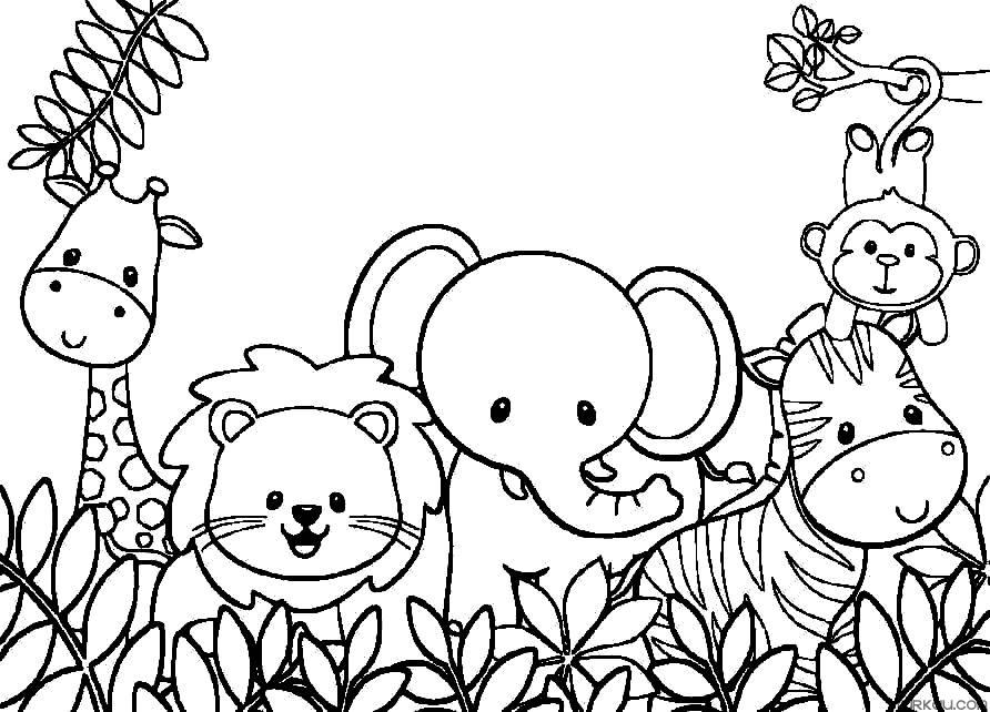 animals coloring and learn