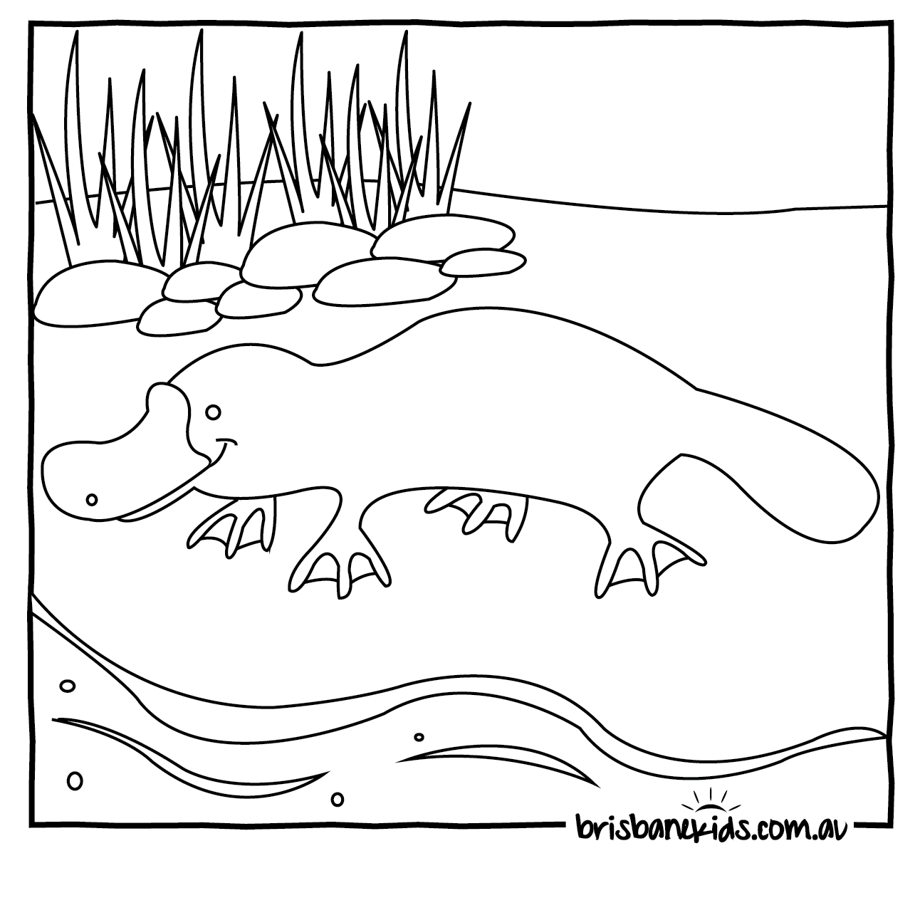 Australian Animal Colouring Pages Pdf