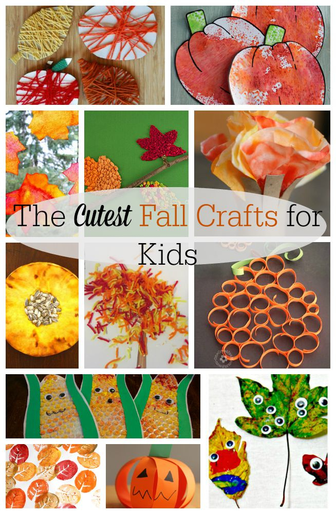 Autumn Craft For Kindergarten