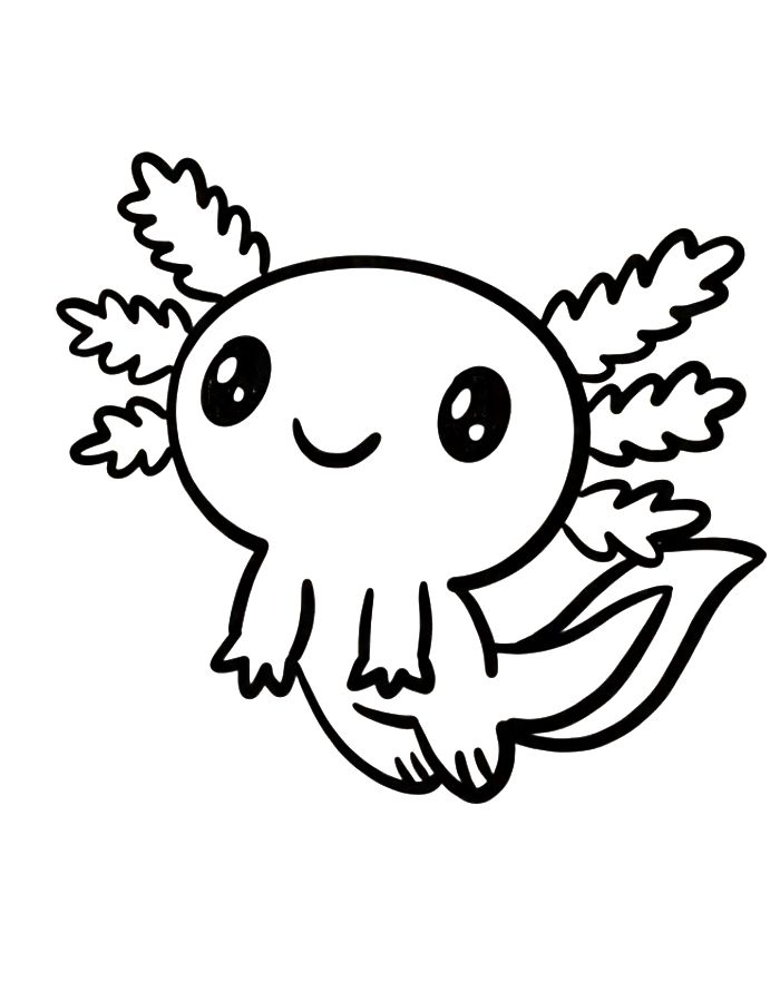Axolotl Coloring Pages Free Printable PDF 