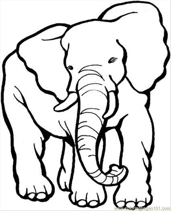 Baby Elephant Coloring Pages Coloring Home