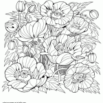 Beautiful Coloring Pages For Adults Flowers COLORING PAGES