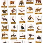 Brown Animals Facts List Pictures And More