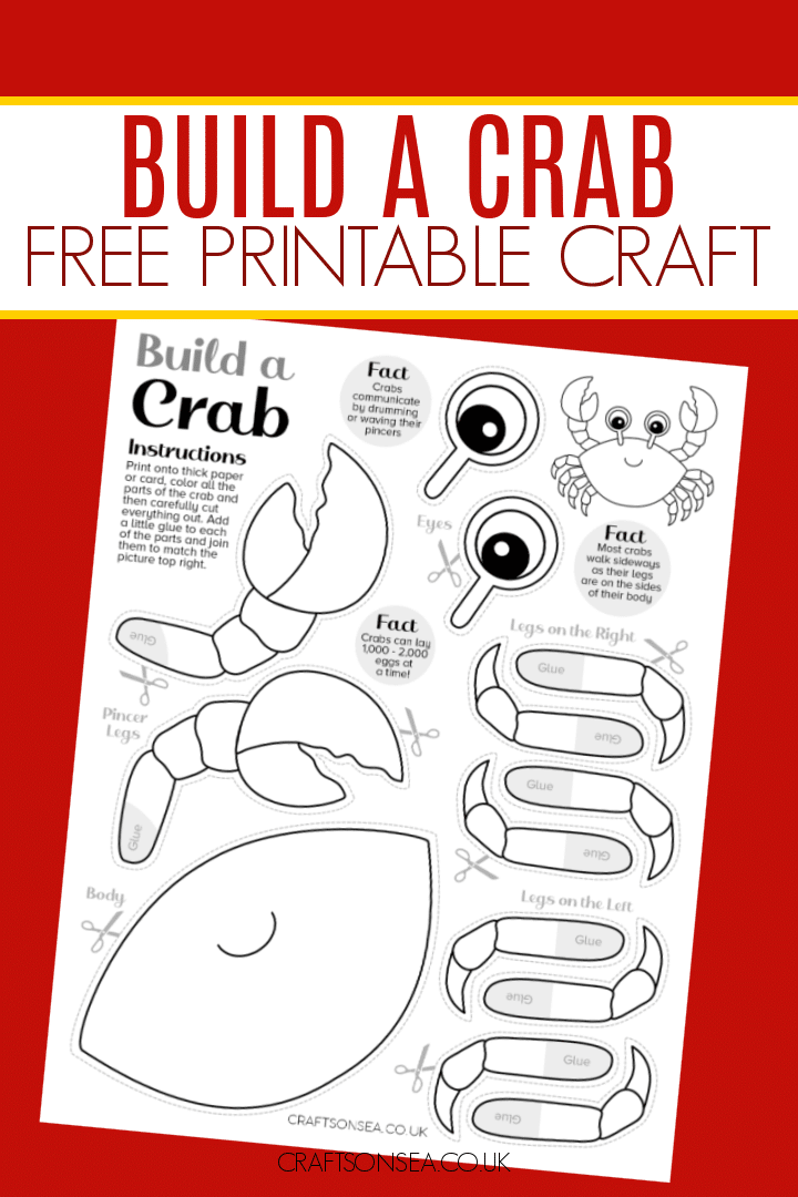 Build A Crab Craft FREE Printable Crafts On Sea
