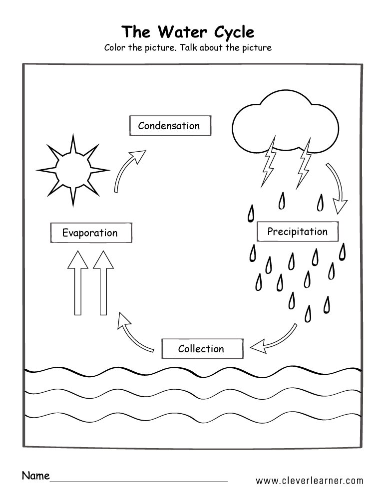 Build A Water Cycle Printables Donald M Ogg
