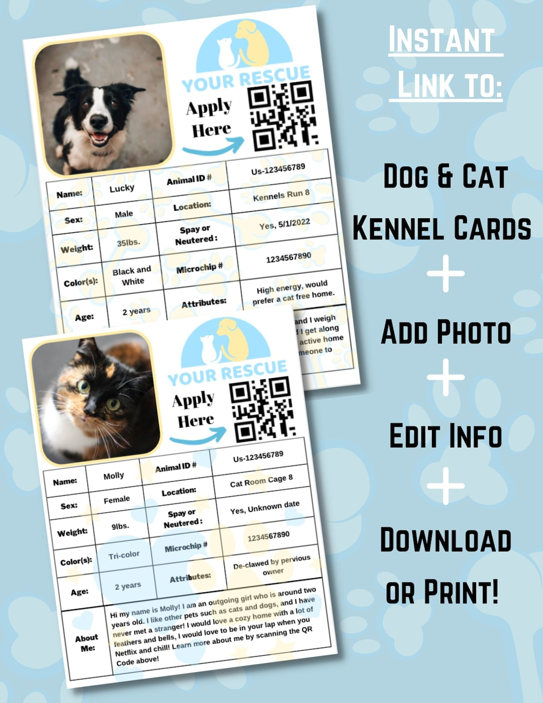Canva Animal Rescue Printable Kennel Card Animal Shelter Cage Card 